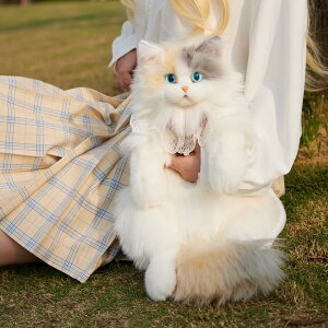 yPT10{+10%OFFN[|zLʂ { nhCh SNSŘb! Oh[L/OєL/L AȔL^bN vjvj  L̂ʂ݃ybg  ₳