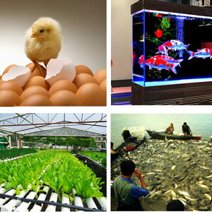 y}\ N[|szSTC-3000 LCD fW^xRg[[DC 12VdqxvCeWFg-50`99 Mp hNTCxZT[v[u XibvfUCPxfBXv