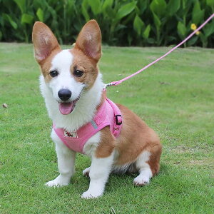 n[lX  Lp p  n[lX ybg ^ \tg bV xXg n[lX [hZbg   ʋC  TCY Ԕ ̓