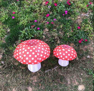 10Zbg  LmR  傤 a t  ̂ y[p[^ ~ Ղ NX}X Cxg ̓