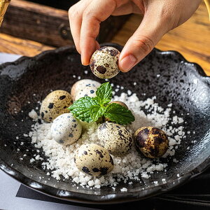 yPT10{+10%OFFN[|zStXCOK Obvt Lk ꏊ K\ 򋗗 Abv ̓