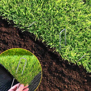 yPT10{+10%OFFN[|zUsY ەt 15cm s Œp hV[g lH Œp U^s R^s Œ}` _Ɨplbg   |pi c K[fjO ̓