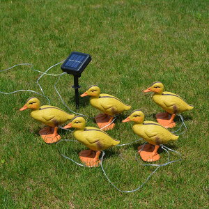 \[[Cg u Aq O h K[fCg 5CCg K[fI[ig uCg 킢 b   O AEghA fR[V drsv  /