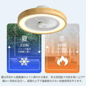 LEDV[OCg V[Ot@Cg @ T[L[^[ t@t 10 50CM Rt |V[O 3iKF  6iK ^C}[@\ É ȃGl VƖ 
