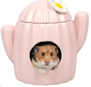 nX^[ nEX T{e^ B Z~bN 킢  K NbVt 傫 L/STCY ̓