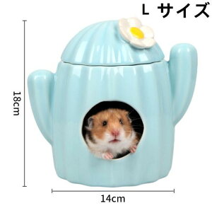 nX^[ nEX T{e^ B Z~bN 킢  K NbVt 傫 L/STCY ̓