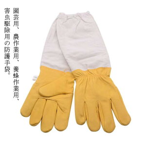 {Ip  hO[u _炩rv K[fjOO[u  v | OO[u {Ip Ȋ 쏜 Q쏜 I Ɨp jp 悯 