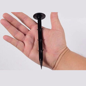 hV[g s 16cm 20cm 200{Zbg hV[gp Y TV[gs B }Y s V[g Œs lH sDz h V[g Œ ߋ Œps hV[g