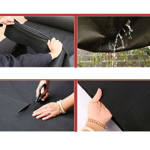 sDz hV[g 1m×100m V[g [ sDzV[g Gh~V[g  h V[g _pV[g UVܓ lH Ő   ԏ 悯 Gh~ G΍ G Ȃ _ 