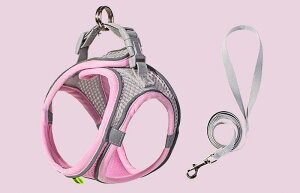 [ht Ln[lX bV [hn[lX Ȃ  n[lX Pݖh~ U L̓ т Lp ^ ^ qL U EFAn[lX