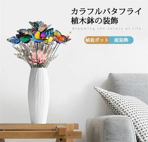 y4`12cmz K[fI[ig 50{ Jto^tC sbN u |u 嚒 H΂ | A  둕 ̐A̓|bg G AEghA K[ffR[