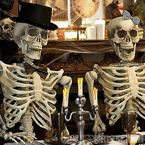 V Cy nEB [ KCRc  g u 165cm z[ A {iI a t  u  NX}Xpi | | XPg skeleto