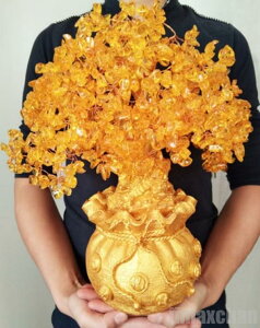 V Cy 剩  ̂Ȃ  u u IuWF Vg ^ ^㏸F u N d ƒ J^F x CeA CeA 