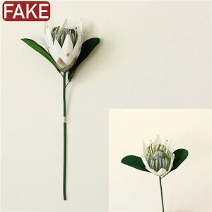 V Cy CeA t[AWg  c̉  or  1{ CeA 썑̉ veA nCA t[ u Ԓd  rO GgX  