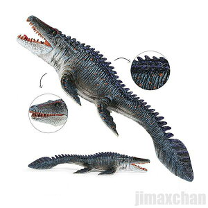 V Cy ߋ  TTEX ͌^ u o[Xf[  j̎q ǔBirthday _Ci\[ WI WVbN I q v[g LbY p[eB[