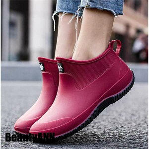 THOM WILLS V ~J΍ CV[Y Cu[c V[g jp Y fB[X Sh y h ~J o[V[Y AEghA ʋ v[g Mtg