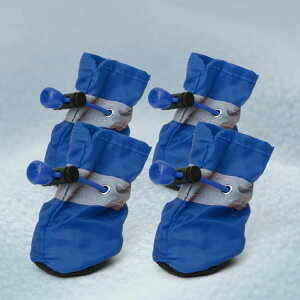 C ybgp ~ یV[Y hbOV[Y h~ o PKh~ U ی ̌C  pC