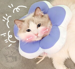 GUxXJ[ h L  ybgp񕜋  t[ \ rߖh~ \tg ی y ybgی ^ L ی p hf