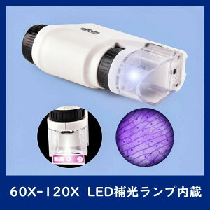 y z 120X̊g{ 60X {؂ւ\ mbߋ Ȋw w qp LED S \ q gь^ 