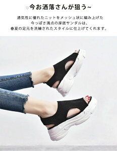 y z X|T X|[XT_ T_ T_  bV jbg RtH[g fB[X ؂ ₷ I[vgD q[6cm K ʋC K r ʋ ʊw  JW