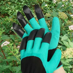 EZbg  K[fO[u @O[u ܕt or ܂Ȃ  K[f O[u h ~ K[fO[u K[fjO | K[fjOO[u  