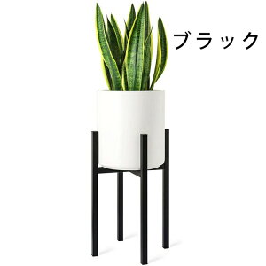 |bg X^h t[X^h  ϗtA a36cm܂őΉ  Lk ACA Aؔ K[fjO bN  O ԑ v^[X^h u gȒP CeA rt