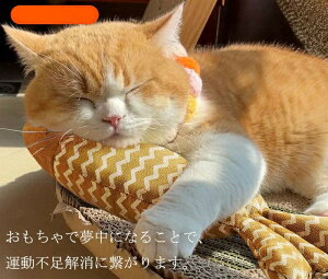 L   R肮 ˂ l`  ʂ lR ybgpi _炩 L   A  Lpi ybgp Lp
