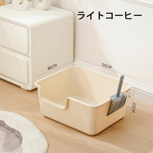 yXRbv܂zfIgC Lp Vv^Cv KCh LgC h[^ ^L LpgC{ Lp RpNg 傫 jƂgC n[tJo[ CG[ O