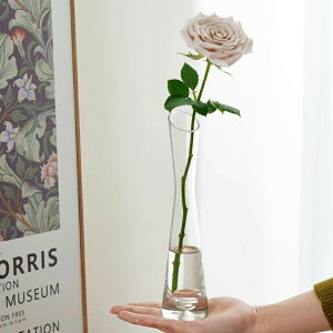 【6%OFFクーポン】一輪挿し ガラス 花瓶 おしゃれ 花器 フラワーベース 透明 平口 斜口 15cm 20cm 25cm 水栽培 花びん 円柱 生花 造花 植物 北欧 インテリア 雑貨 新生活 小さい シンプル リビング