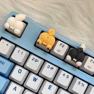 L[Lbv L[{[h L[Lbv 킢 R[M[̐K^ Keycap JX^Q[L[Lbv JjJL[{[h̃L[Lbv fXNgbvPCpL[{[h 3F