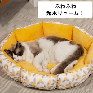 ~ ۉh ΍ 薰  p @\ ybg\t@ ^ q xbh Lʗp    Lbgxbh Q ӂӂxbh ybgNbV