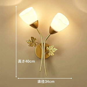 LEDΉ k KX Ԍ^ _ IV Ǌ|Ɩ a 1/2 EH[v ʏ Ki 