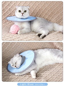 L ybgp  ^ AWX^[ TCY ybgObY p p Lp p _炩