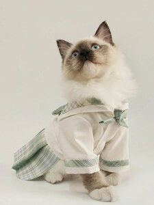 `FbN w XN[XJ[g p ybgObY ybgpi S10F XN[oIJoLx