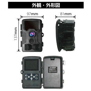 \[[pl 256GBmicroSDJ[h 4K掿Zbg \[[[d gCJ CX dr Ď