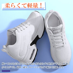 y _bhV[Y ʋC ubN  zCg   Xj[J[ fB[X Cq[Xj[J[