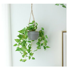 tFCNO[ lHϗtA ϗtA  CeApi [t t   j Ǌ| ݂艺  rO