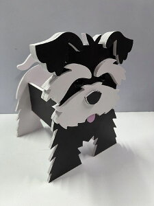 v^[ Aؔ K[fjO Ԓd   ViEU[  [{bNX 킢   O[  