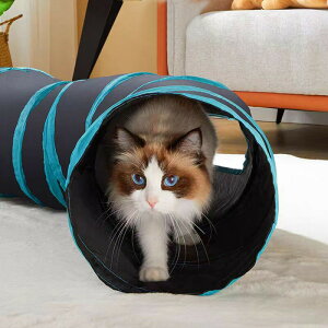 Lp Lbggl gl^  ߋ ybgpi LbggC g[C I` ܂ NlNl ^s y V ybgObY ˂ lR