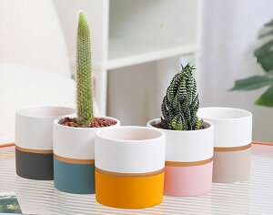 植木鉢 フラワーポット 陶器 円形 ラウンド型 観葉植物 多肉植物 サボテン 小さめ 小さい 窓際 窓辺 園芸 ガーデニング 屋内 屋外 バイカラー 配色 かわいい おしゃれ