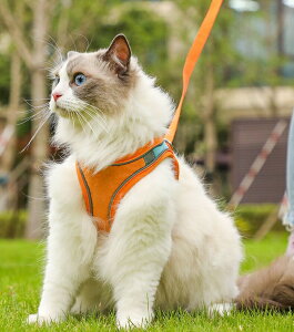 n[lX [h 2_Zbg Lp lR ybgObY  UR R R ˍ Lpi LObY Vv  ł U OV AEghA  Oo CAT