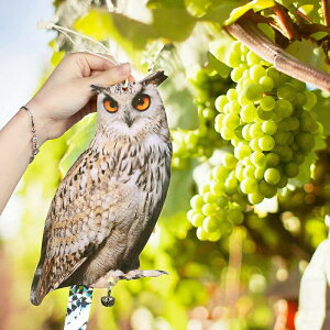 悯{[h 悯 h A tNE  ObY 悯 JX悯 Q΍ x_ ~~YN ݂艺 t 傫 傫 J[