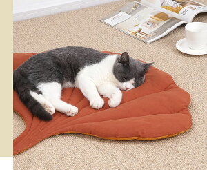 ybgpxbh ybg}bg Lp p NbV zc t C`E ybgpi ӂӂ _炩 Q Q   lRp Ckp