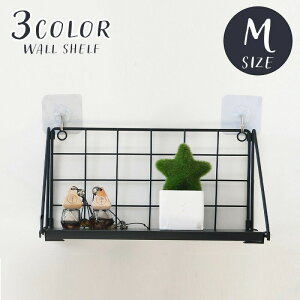 EH[VFt EH[bN MTCY Ǌ|I ǖʎ[ ǖʃVFt CeA G ܂肽 ݂邷  킢 i`