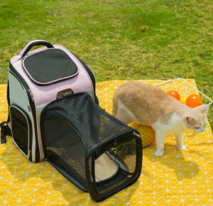 L[obO bNL[ ybgbN ybg L ܂肽 u[ O[u[ o s ʉ@ JWA