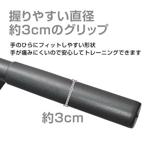 Ԃ牺茒N Ԃ牺  }V ω׏d100kg j  o[ g[jO `jOX^h fBbvXX^h _CGbg ؃g ؗ̓g[jO ƃg