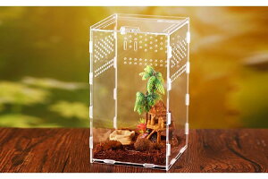 P[W P[X ঒   p e a u{bNX AN  ʋC ^ Jo[t