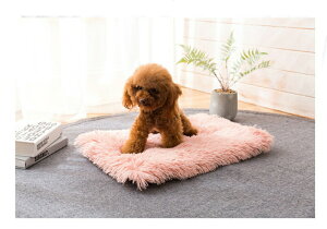 ybgp}bg ybgpxbh ybgpi p Lp 45×65cm ӂӂ  g  ӂӂ XNGA lp ` NbV n PF Q Q ~ P[W   C