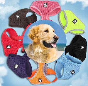 n[lX  ybgObY ybgpi p Lp ^ ^ ^ bV ʋC UObY ^b`obN DJ bNt PF n Vv JWA  Ck 