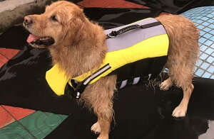 hbOEFA pCtWPbg  ^Ngbv ybgpi  C  o s AEghA X^CbV   p CG[